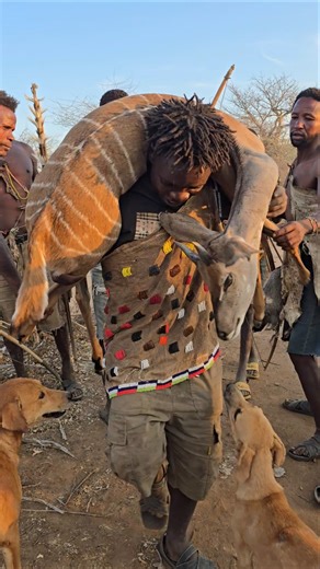 very big bush animal hunt with chaabaa and dudukwe #dudukwe #chaabaa #reels #trending #shorts