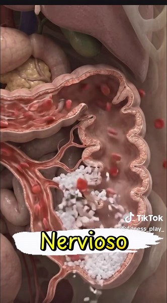 ¿Es malo comer chocolate antes de dormir? 🍫😴😱