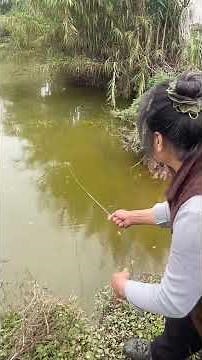 In the countryside, when you want to eat fish, just put one there.