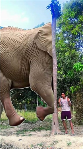 love you india 🙏💗🇮🇳❤️‍🩹 Teri mitti me mil java ✨❤️‍🩹#ytshorts #funny #india #love #cartoon #animals