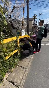 18K views · 487 reactions | @trystane is a photographer celebrated for his skill in capturing images at precisely the right moment. His work reflects a keen eye for timing, composition, and the art of seizing fleeting moments. Known for his attention to detail and ability to make every frame impactful. . Video Credit: @trystane | Foto dan video - Tips&Trick | Facebook