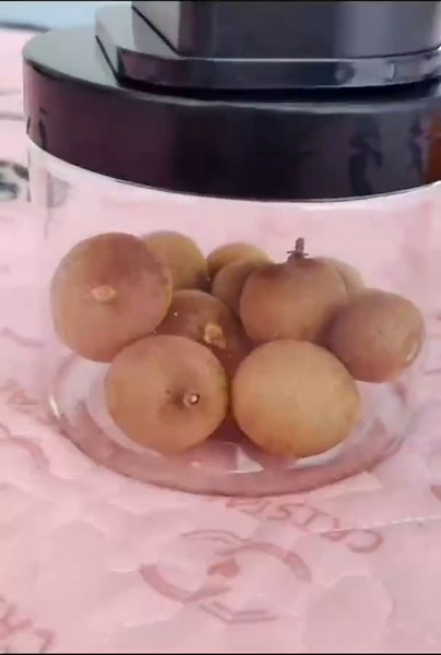 Shenghang BIRD Toothpick Box - Funny Portable Plastic Toothpick Holder, Automatic Telescopic Dispenser