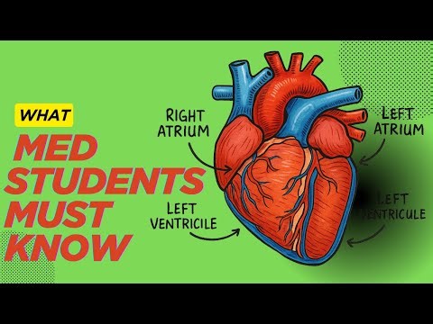 Watch This Before Studying Cardiology – Heart Anatomy Simplified!