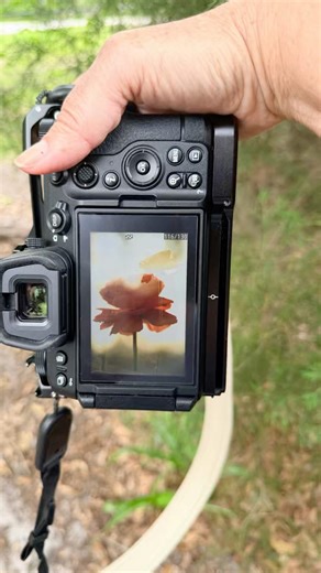 Come along with me as I make triple exposure photographs! #photography #photographytutorial #nikon