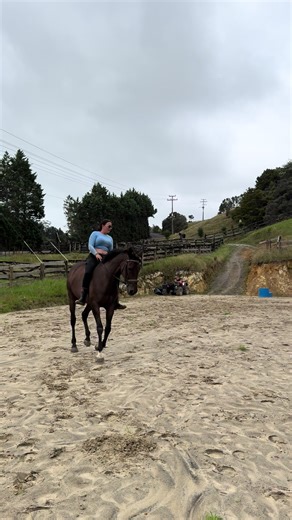 This could be you one day, Learn to ride today, whether you’re a complete beginner or looking to build confidence and improve your skills. Lessons are available bareback, in a halter, in full tack, or however you choose to ride. The focus is on balance, feel, confidence, and building a genuine connection with the horse. All ages and experience levels welcome. Located Kerikeri. Message to book or find out more. #HorseRidingLessons #Kerikeri #LearnToRide #ConfidenceInTheSaddle #NorthlandNZ