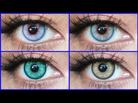 TTDEYE Frosted Plum Purple, Frosted Plum Green, Mirra Green & Mirra Brown Contact Lens Review