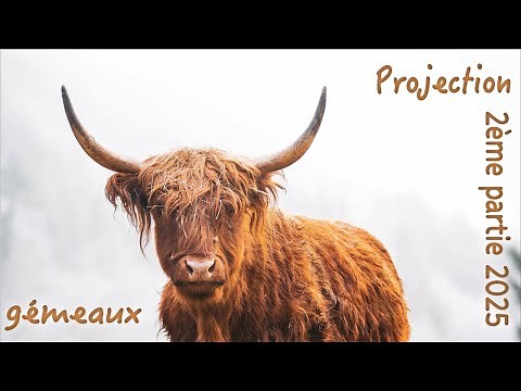 GEMEAUX - Projection 2ème partie 2025 ~ Une réussite qui vous porte