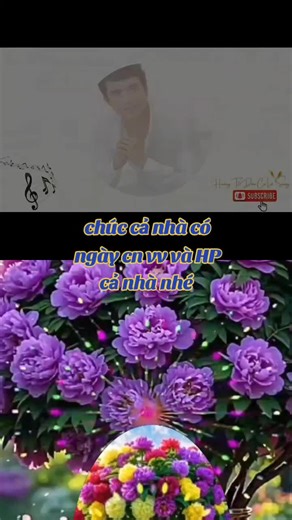 #duet cùng @Đức Nguyễn #VoiceEffects