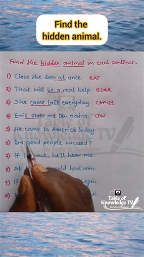 28K views · 638 reactions | Find the hidden animal in each sentence. | Table of Knowledge TV | Facebook