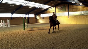 319K views · 2.7K shares | **SCOTT BRASH EXCLUSIVE** We are incredibly privileged to have been able to film a masterclass with the winner of show jumping's Rolex Grand Slam and Olympic gold medalist Scott Brash MBE. Scott Brash has been an Equitop Myoplast brand ambassador since 2010 and here he gives us a 30 minute masterclass on the work he does with his horses in between shows to keep them fit and injury free. | Equitop | Facebook