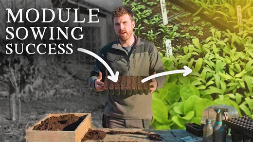 The one module tray for starting 92% of crops (and sowing demo)