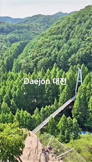 주소 📍대전 서구 장안로 461장태산자연휴양림 #korea #respect #korea_travell #rek