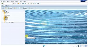 SAP财务实操 之 F-02录入客户发票