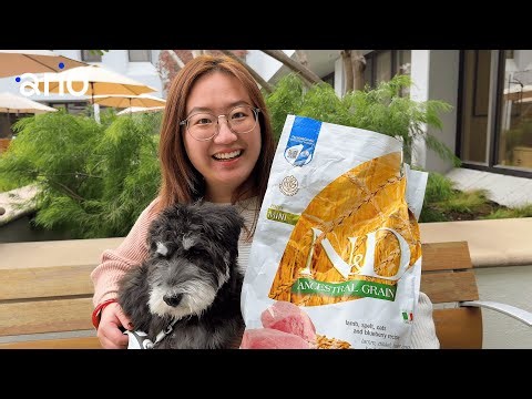 How Brands Miss Hidden Signals in Customer Data | Ario Data Stories