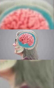 Legal Studios: VR & Animation Demo Promo