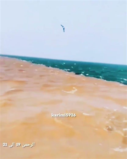 #قرآن #قران_كريم #قرآن_كريم #قاری_قرآن #تلاوات #قرآن_الصباح #قران_الكريم