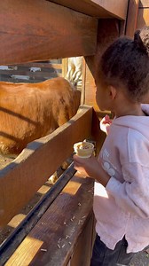 I think I’m embarrassed 🙈🫣 #lol #funny #video | A Life Less Scripted