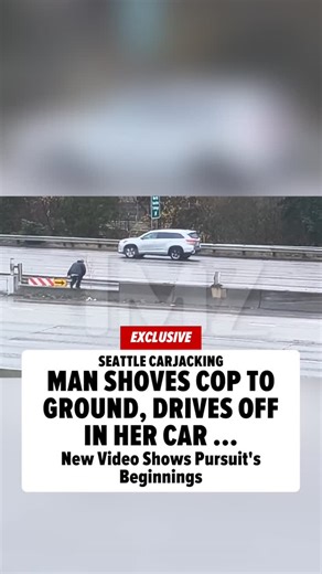 TMZ on Instagram: "🚨 EXCLUSIVE: A man in Seattle is in police custody after stealing a patrol car from a Washington State Patrol lieutenant ... and we have video of the suspect shoving the cop to the ground and taking off in her car. DETAILS AT THE LINK IN BIO!"