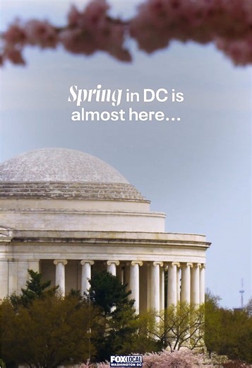 Spring is almost here! What’s your favorite thing about spring in the Washington, D.C. region? Let us know in the comments! 🌸🌼🌷 #washingtondc #cherryblossoms #spring