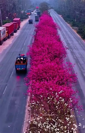 This Is new Bangladesh @mkvlogskaiom