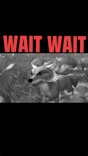 😂😂😂😂😂😂😂😂😂