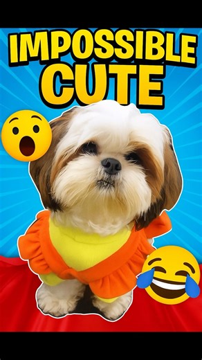 Funny Dogs in Snow ❄️😂 | Hilarious Winter Zoomies #shorts