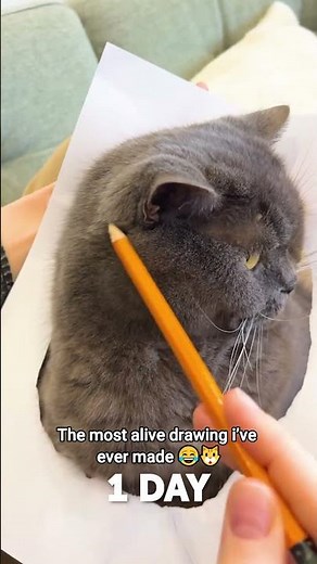 This “3D drawing” of my cat looks way too real 😂🐱 #comedy #petlover