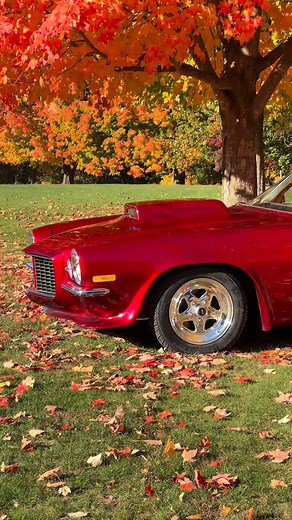 8.9K views · 202 reactions | #camaro #americanmuscle #fypage | Leo Vanderwiel | Facebook