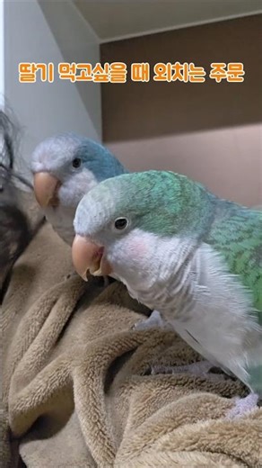 세상에 공짜는 없다ㅋㅋㅋ야르~