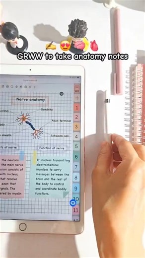 1K views | Made these notes in my digital notebook 勺 (link in bio) if you want to use the same setup 殺 #studygram #ipadnotes #studyvlog | Lumi.Studymotive | Facebook