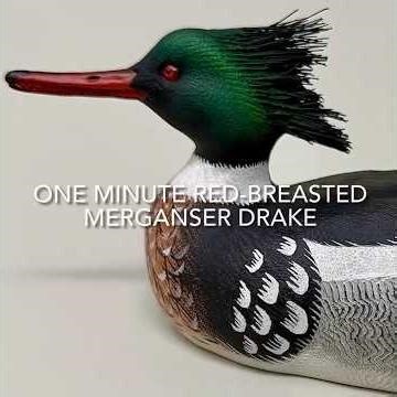 One Minute Red-breasted Merganser Drake #wildfowl #sculpture #paintingtechniques #paintingmethod