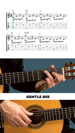 Video from the channel AcousticGuitarTube. #guitar #acousticguitar #fingerstyleguitar #fingerstyle #guitartutorial #guitartabs #guitartab #guitarra #fingerpickingguitar #guitarlesson #guitarra #howtoplayguitar #guitarriff #guitarlick #classicalguitar #guitarcover #guitarra #viola #violão #gitarre #guitartab #gitaris #Гитара #フィンガー