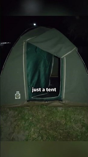 We Slept Next to Elephants