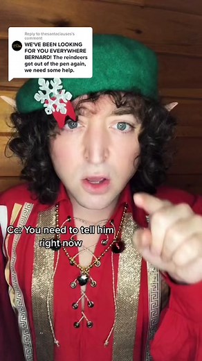 Bargain Bernard Chases After Comet in Santa Clause 2