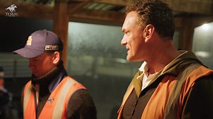 3.1K views · 557 reactions | TE AKAU RACING PRESENTS: CHAMPIONS ARE...