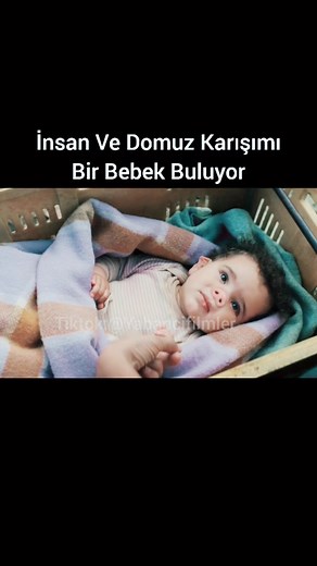 En Efsane Yabancı Filmler - Film Önerileri ve İzleme Tavsiyeleri