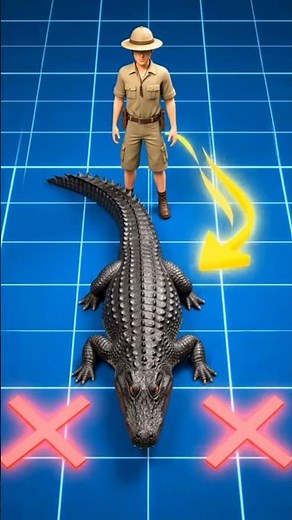 How Not to Wrestle an Alligator 😱