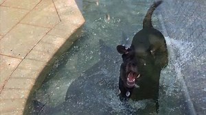 3.5K views · 257 reactions | Please take a few minutes to watch this...