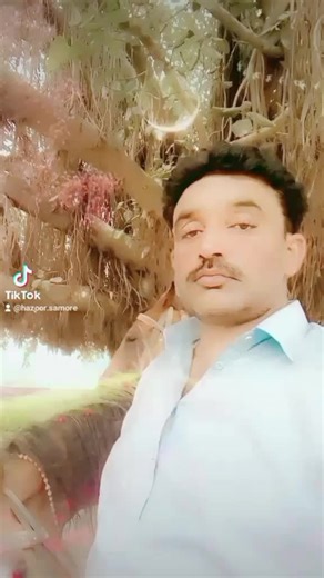 hazoor samore (@hazoor.samore)’s videos with original sound - hazoor samore