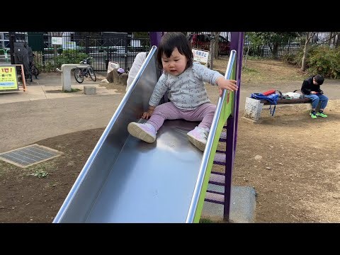 公園で遊ぶひーちゃん Hi-chan playing in the park