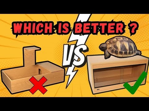 Tortoise Table vs Vivarium: The BIG Mistake Everyone Makes!