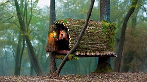 🌉 Cozy Survival Shelter Between Two Trees | Bushcraft Above Ground 🛖 #bushcraft #build #camping #survival #shelter #wildlife #outdoorstyle | Armani Aufderhar