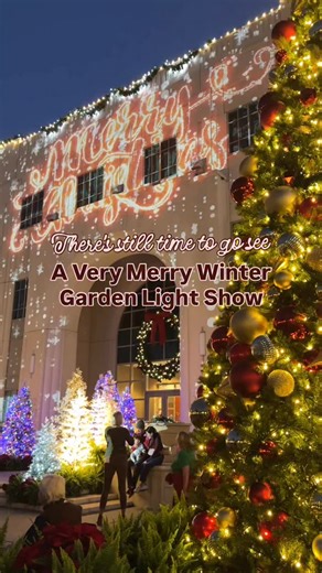 City Hall becomes the backdrop for a holiday animated projection light show synchronized to festive music. An annual crowd pleaser. Remaining dates to see this beautiful display are Dec.19-21, 26-27. | Downtown Winter Garden