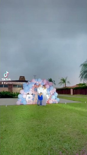 Powder blaster and daytime fireworks gender reveal