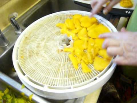 Dehydrating or FREEZING MANGO - HOW TO CUT IT - BEST WAY