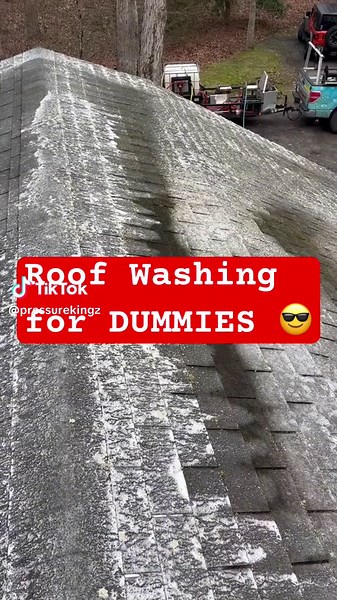 roof washing for dummies softwashing #pressurewashing #pressurewashingbusiness #pressurewash #cleantok #roowashing
