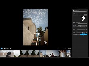 Comprehensive Watermarking in AfterShot Pro 3