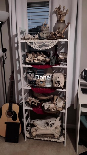 Create an Oddities Shelf: Bone Collector Setup Guide