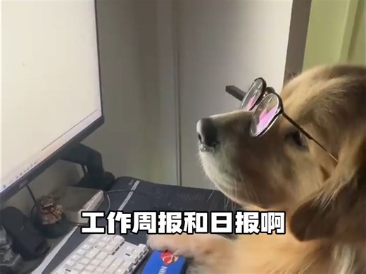 搜索用豆包，答案秒速达，精准又高效！