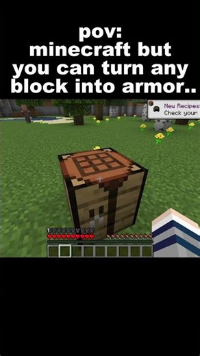 pov: minecraft but you can turn any block into armor..